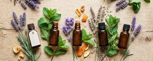 Flacons d'huiles essentielles bio posés sur des plantes aromatiques fraîches, lumière naturelle douce