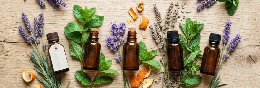 Flacons d'huiles essentielles bio posés sur des plantes aromatiques fraîches, lumière naturelle douce